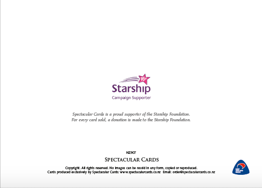 Back of Christmas Cards with Starship Foundation Logo