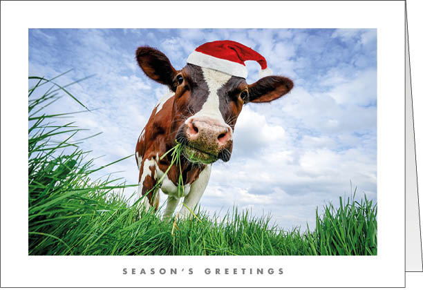 NZ002 Moo-ry Christmas