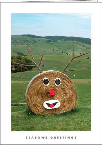 NZ305 Hay Bale Rudolph