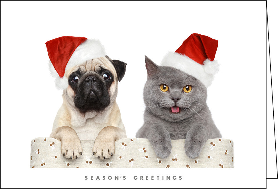 NZ904 Dog & Cat - 90 cards SV1
