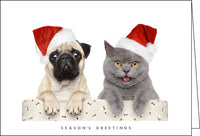 NZ904 Dog & Cat - 90 cards SV1