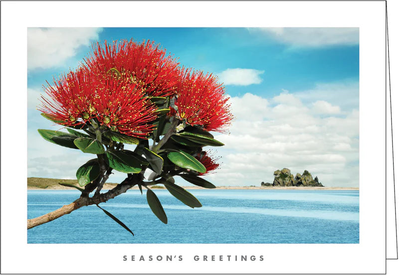 NZ001 Pōhutukawa - 40 cards left