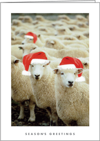 NZ403 Santa's Flock