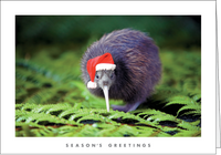 NZ701 Christmas Kiwi