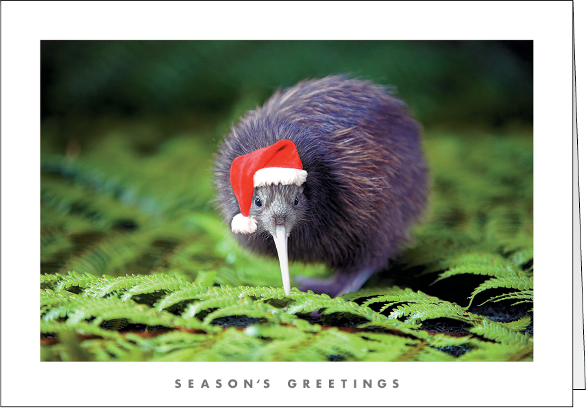 NZ701 Christmas Kiwi