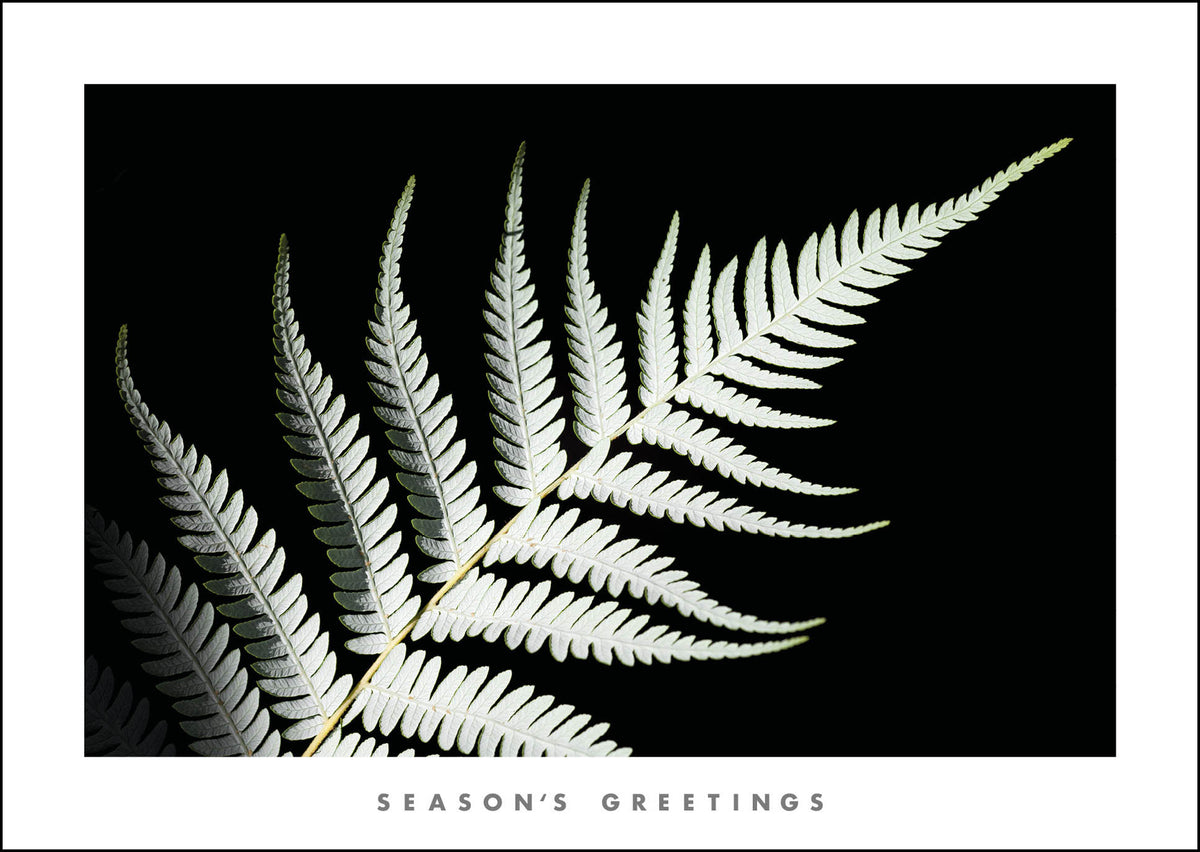 NZ808 Silver Ferns